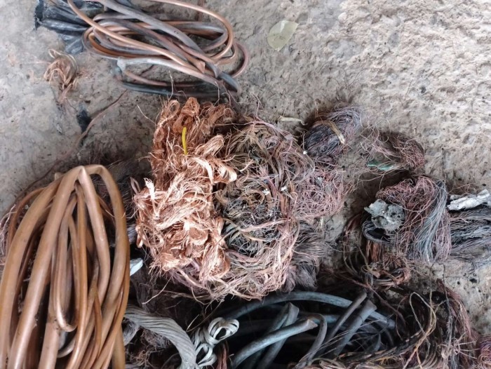 Foto: Reprodução/Secom Ceará