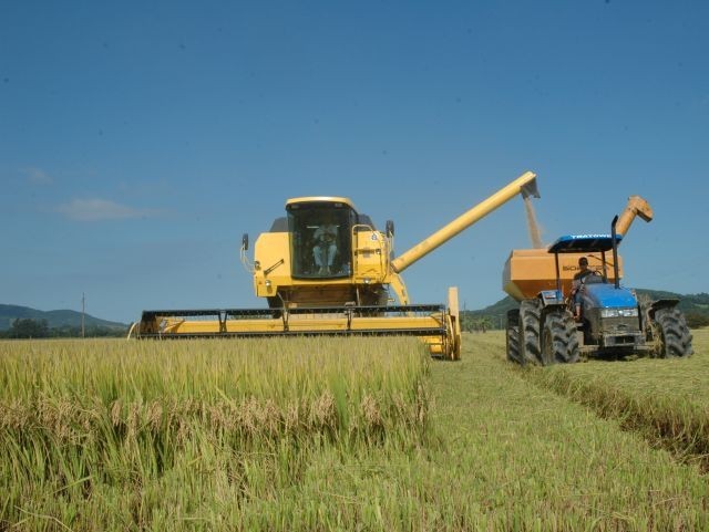 Valor da produção agrícola catarinense cresce 16,1% em 2022 