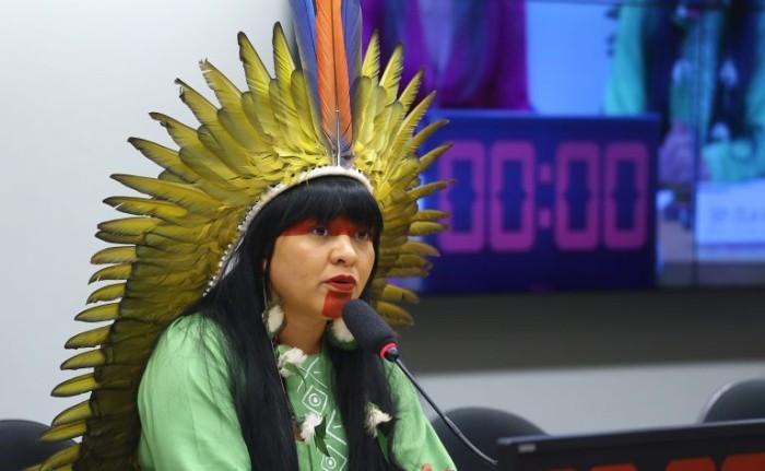 Célia Xakriabá anunciou articulação para a aprovação da PEC - (Foto: Vinicius Loures/Câmara dos Deputados)