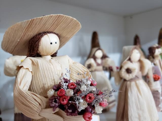 Foto: Reprodução/Secom SC