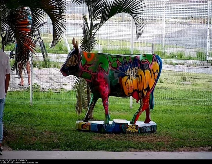 Terminais do Transcol e Rodoviária recebem exposição CowParade Brasil