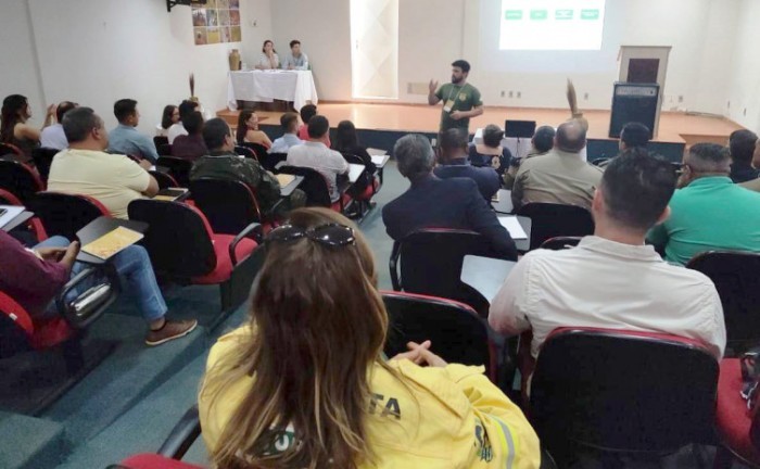 Governo do Tocantins realiza oficina sobre fiscalização do capim-dourado e buriti