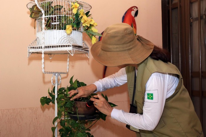 Chuvas no período de seca reforçam cuidado com focos do Aedes aegypti