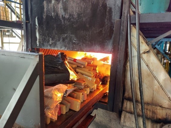 Polícia Civil incinera mais de 2 toneladas de entorpecentes em Antônio João