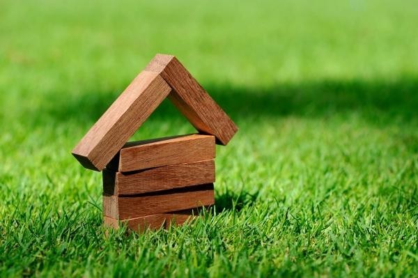 Foto: Reprodução/Câmara de Sorriso - MT