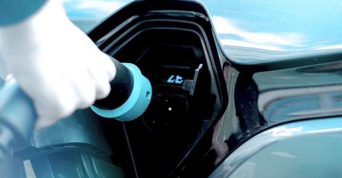 Divulgação - Leggio Consultoria