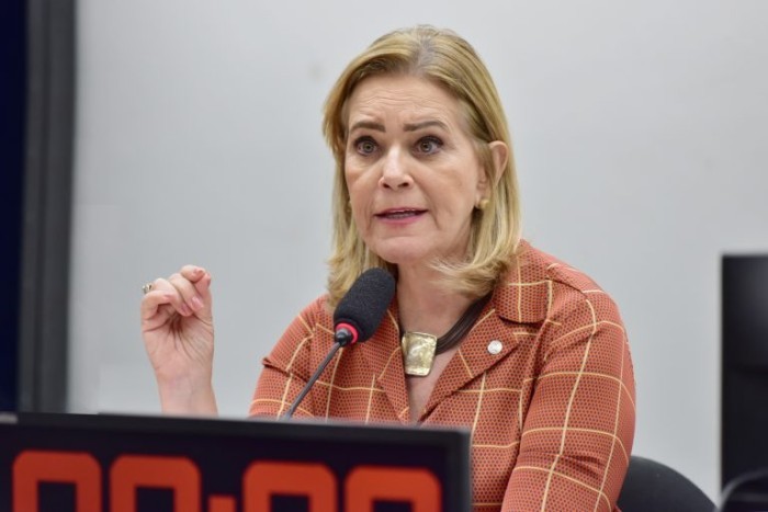 Lêda Borges relatou a proposta na comissão - (Foto: Zeca Ribeiro/Câmara dos Deputados)