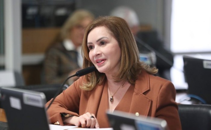 Socorro Neri foi a relatora na comissão - (Foto: Bruno Spada / Câmara dos Deputados)