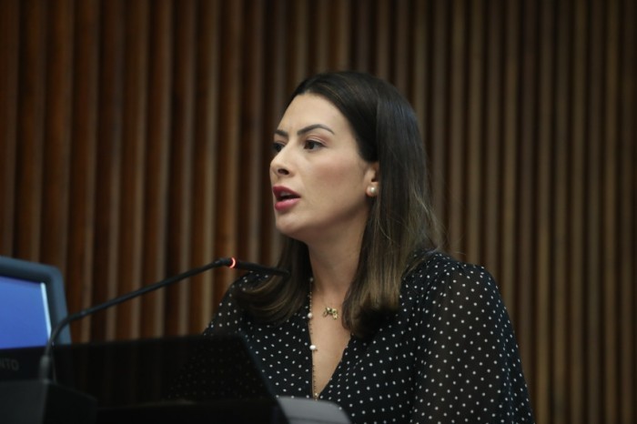 Deputada Mabel Canto (PSDB) cobra DER sobre acidentes no trevo do Mato Branco