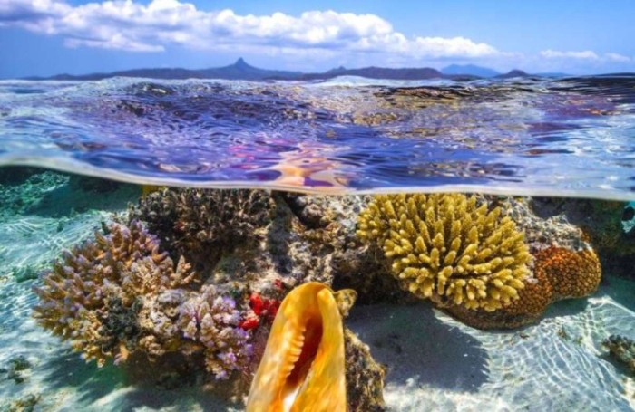 Latin American Quality Institute