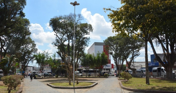 Mais de 400 árvores foram plantadas este ano em Feira de Santana