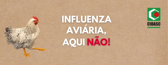 Foto: Reprodução/Secom SC