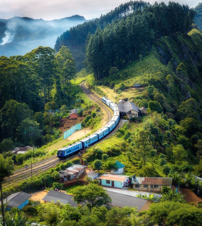 Fapes vai apoiar projetos capixabas em chamada internacional Biodiversa+ 2023-2024