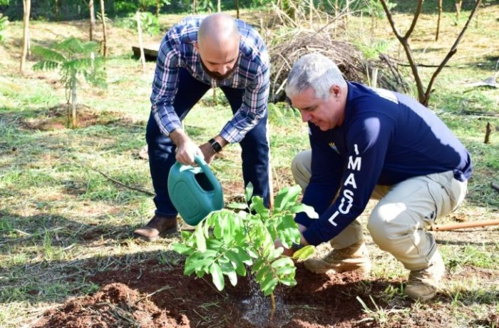 Ações de conservação devolvem floresta a 1,5 mil hectares degradadas e integradas a parques estaduais