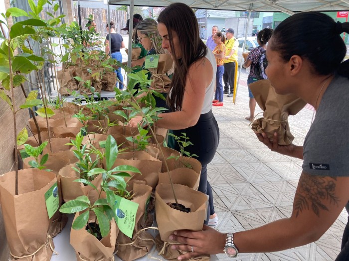 Equipe de Educação Ambiental do IMA distribui mudas de espécies nativas para celebrar o Dia da Árvore