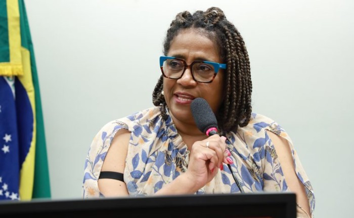 Reginete Bispo é a autora do requerimento para a realização da audiência - (Foto: Mario Agra/Câmara dos Deputados)
