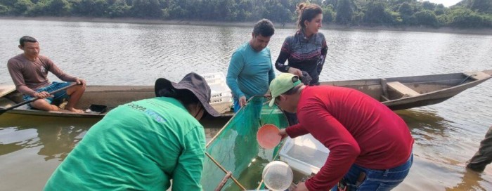 Estudo avalia potencial econômico da pesca ornamental na RDS do Juma