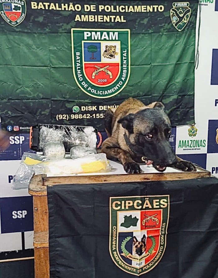 Com auxílio de cão policial, SSP-AM apreende droga avaliada em R$ 38 mil em lancha expresso, em Coari