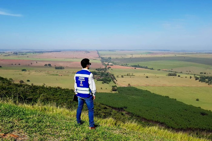 Foto: Adapar