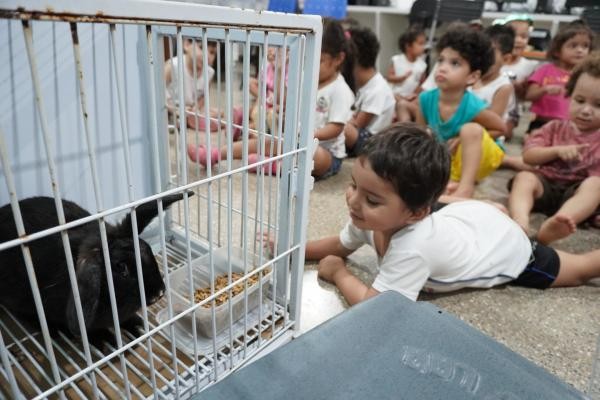 Foto: Reprodução/Prefeitura de Sorriso - MT