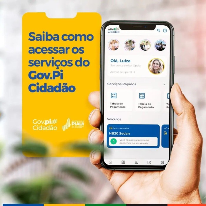 Carteirinhas dos Passes Livres já podem ser emitidas de forma digital pelo Gov.pi Cidadão