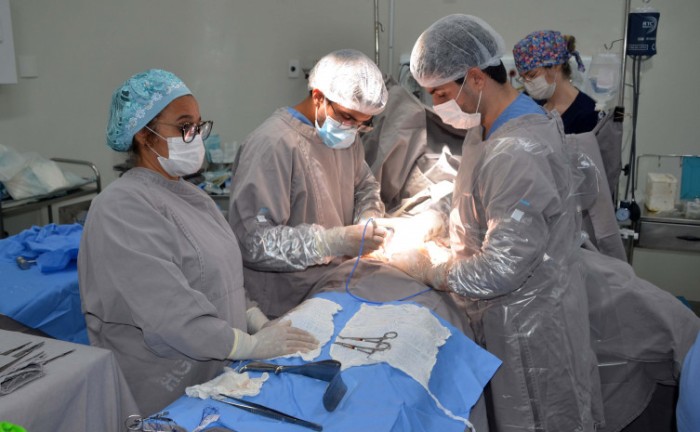 Com mais de 40 captações desde 2018, Governo do Tocantins celebra Dia Nacional de Doação de Órgãos