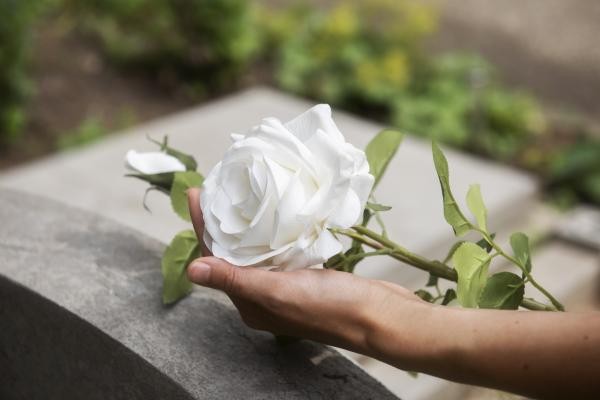 Foto: Reprodução/Prefeitura de Sorriso - MT