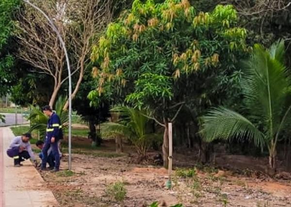 Foto: Reprodução/Prefeitura de Sorriso - MT