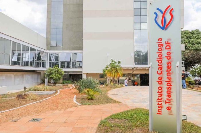 Setembro Verde: entenda a lista de transplantes e como ser doador