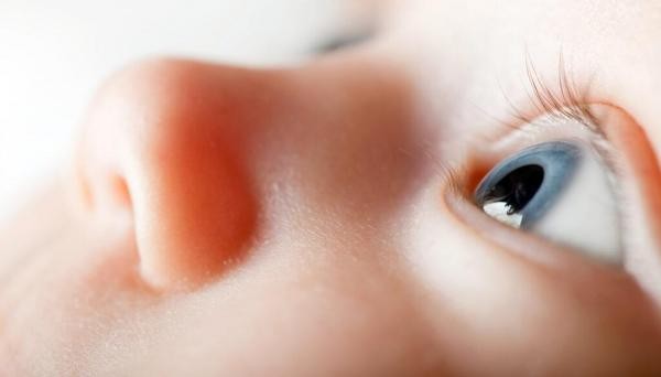 Foto: Reprodução/Câmara de Sorriso - MT