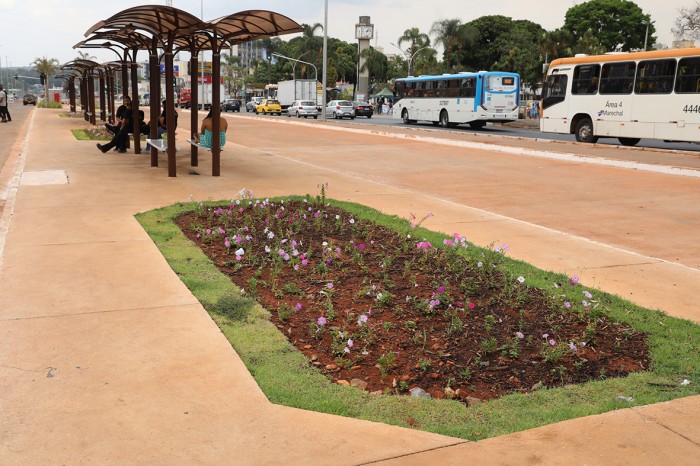 GDF finaliza paisagismo do boulevard do Túnel Rei Pelé