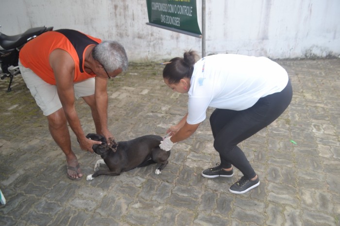 Feira confirma mais dois casos de raiva e intensifica vacinação em animais