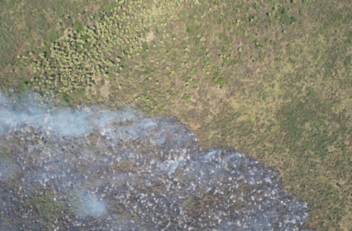 Bombeiros controlam incêndio no Pantanal e monitoram área no Paiaguás