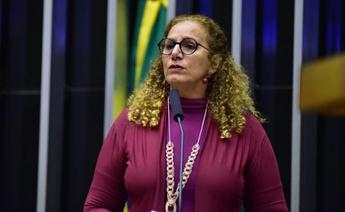 Jandira Feghali, relatora do projeto - (Foto: Zeca Ribeiro/Câmara dos Deputados)