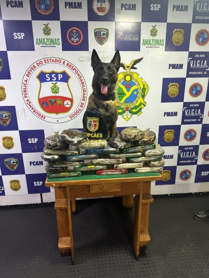 Base Arpão: SSP-AM apreende 30 quilos de drogas com auxílio de cadela policial, em Coari