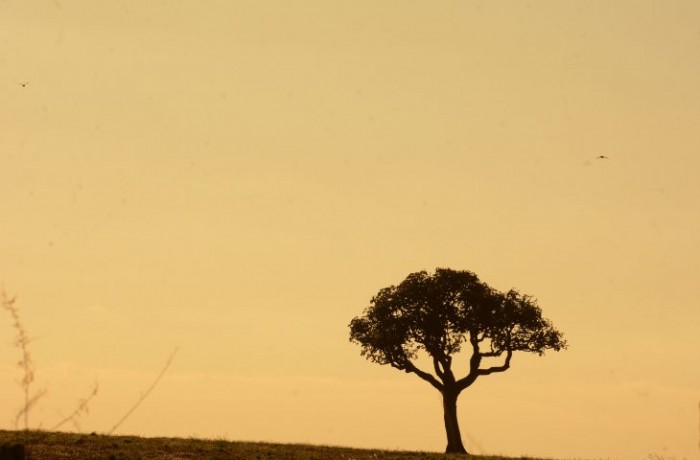 Ar quente e úmido gera possibilidade de chuvas em MS nesta terça-feira