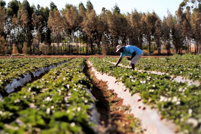 CCJ aprova a criação da Comissão de Produção Rural e Abastecimento