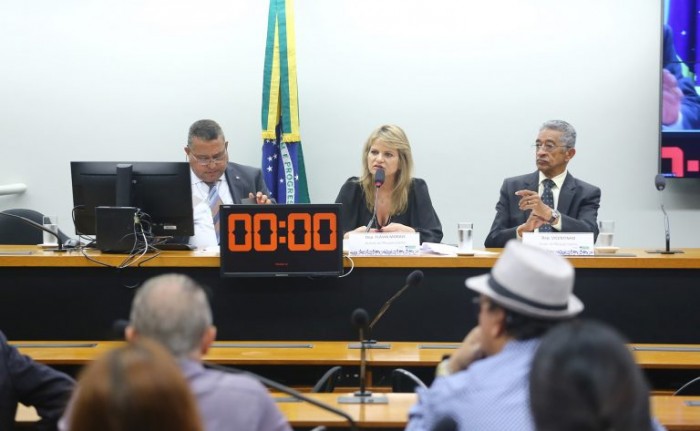 Flávia Morais e Vicentinho (D), presidente e relator de subcomissão que analisa o tema na Câmara - (Foto: Vinicius Loures / Câmara dos Deputados)