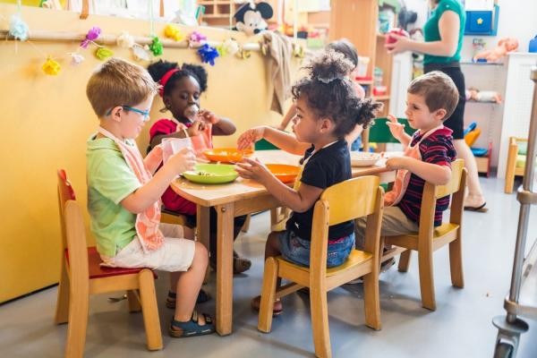 Foto: Reprodução/Câmara de Sorriso - MT