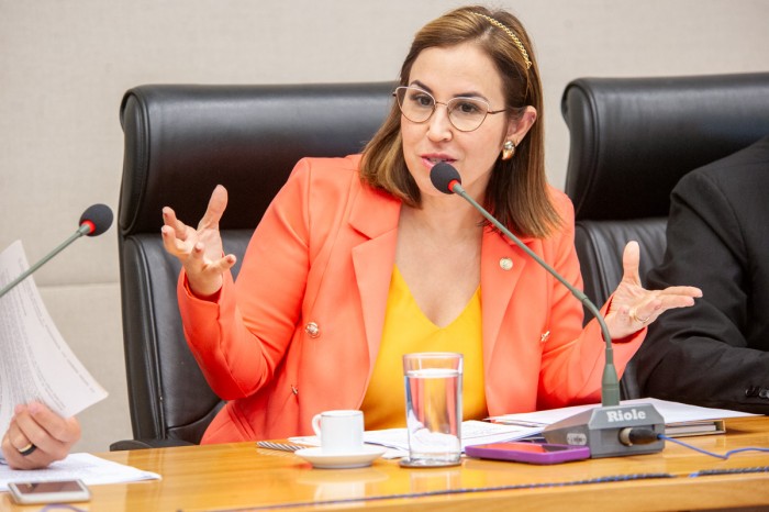 Câmara Legislativa homenageia profissionais das careiras ACS e AVAS