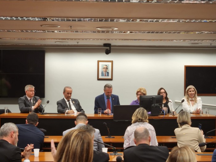 Foto: Reprodução/Secom SC
