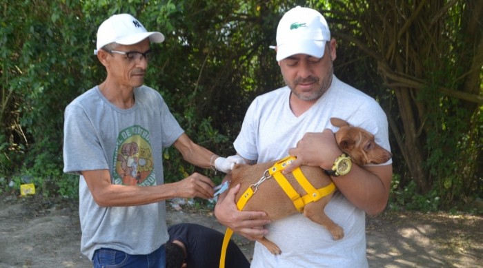 Vacinar o animal é um gesto de amor e cuidado, destaca veterinária
