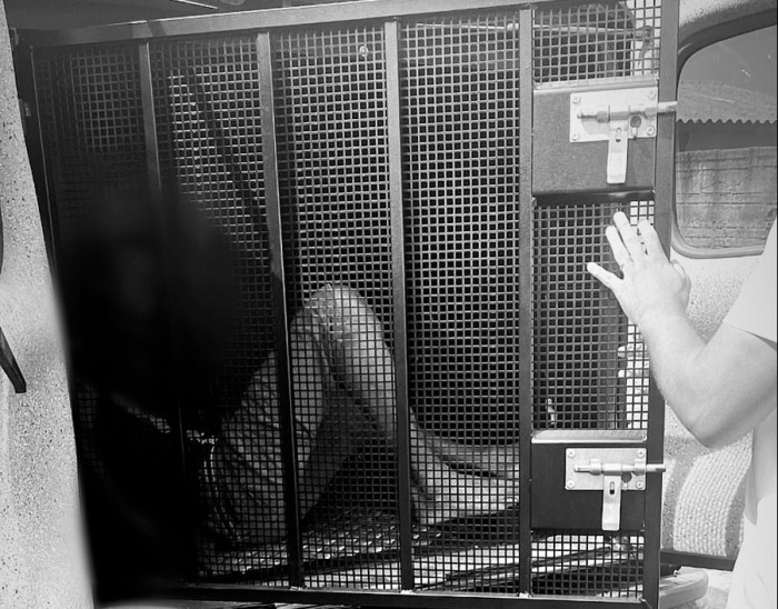 Autor de violência doméstica é preso pela Polícia Civil em Naviraí