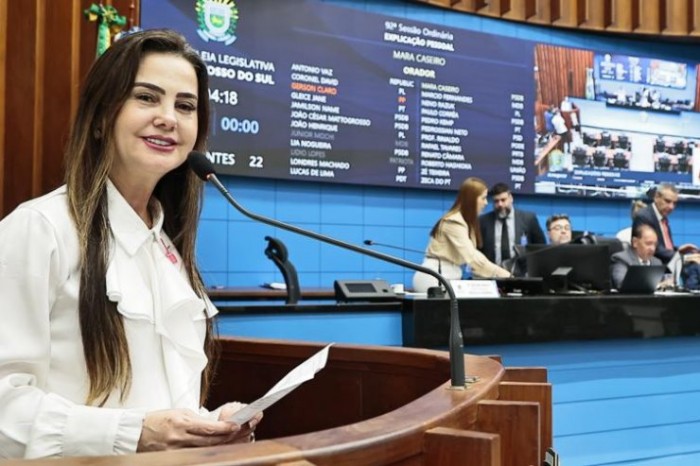 Para evitar acidentes, deputada pede reparo de ponte em Nioaque