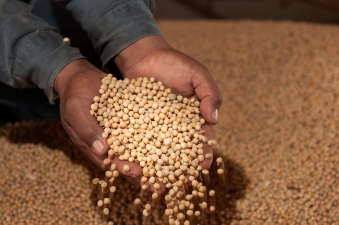 Produto Interno Bruto (PIB) goiano sobe 3,4% no segundo trimestre na comparação com mesmo período do ano anterior. Nos últimos 12 meses a alta é de 4,5% (Foto: SGG)