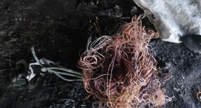 Foto: Reprodução/Secom Ceará