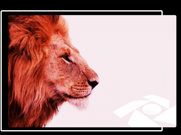 Foto: Reprodução/Prefeitura de Sorriso - MT