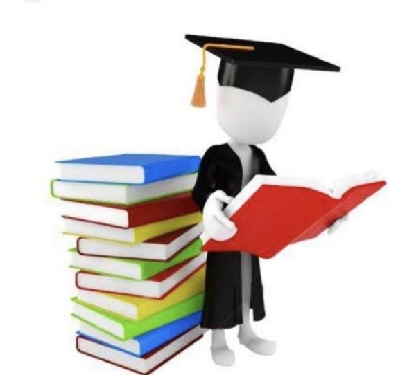 Foto: Reprodução/Câmara de Sorriso - MT