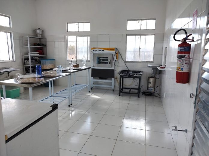 Investimentos na caprinocultura de leite potencializam produção em Curaçá e Uauá