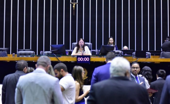 Laura Carneiro presidiu a sessão solene - (Foto: Zeca Ribeiro / Câmara dos Deputados)